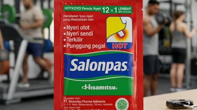 Salonpas Hot 12 plasters
